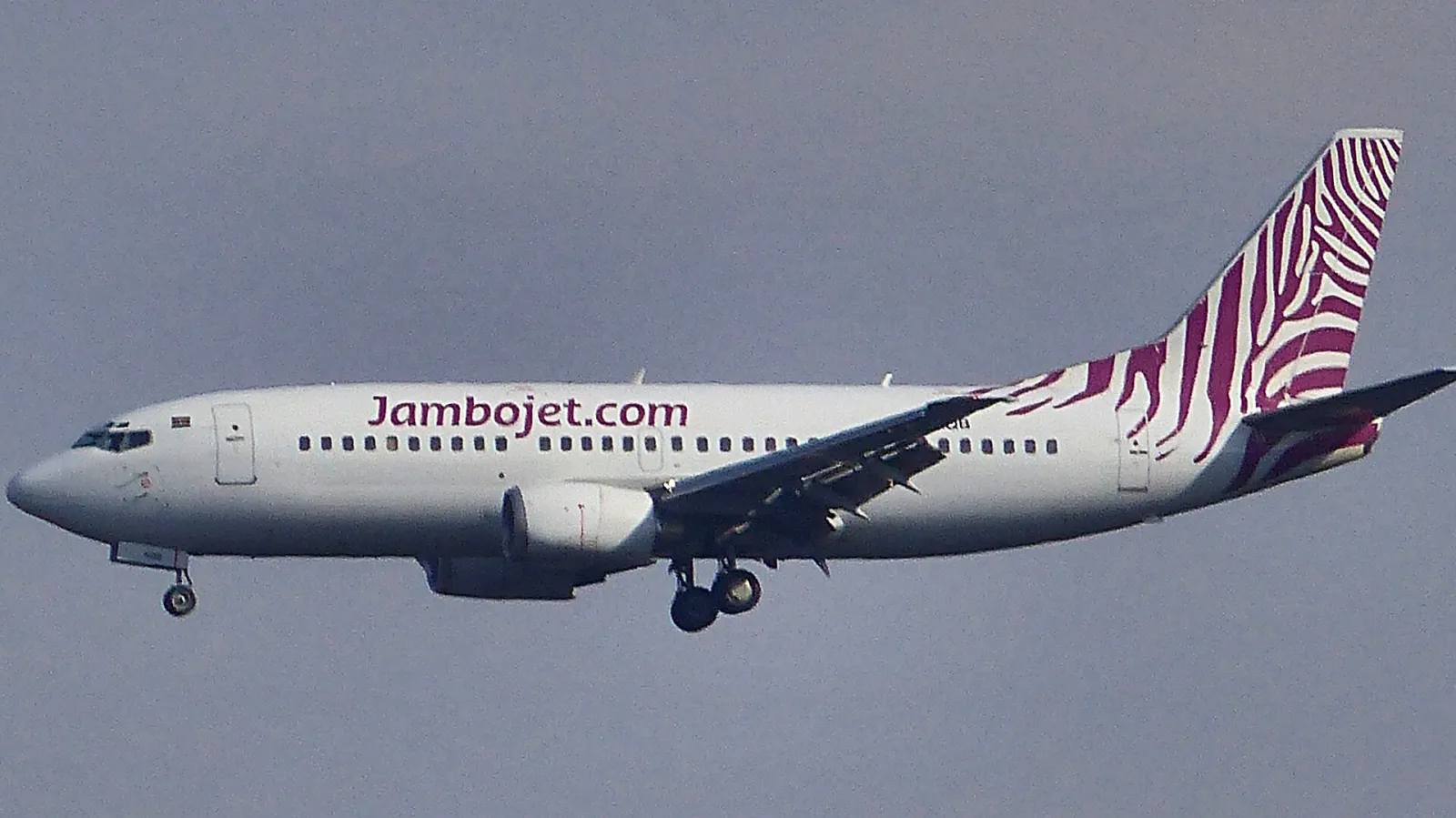 Aircraft of Jambojet