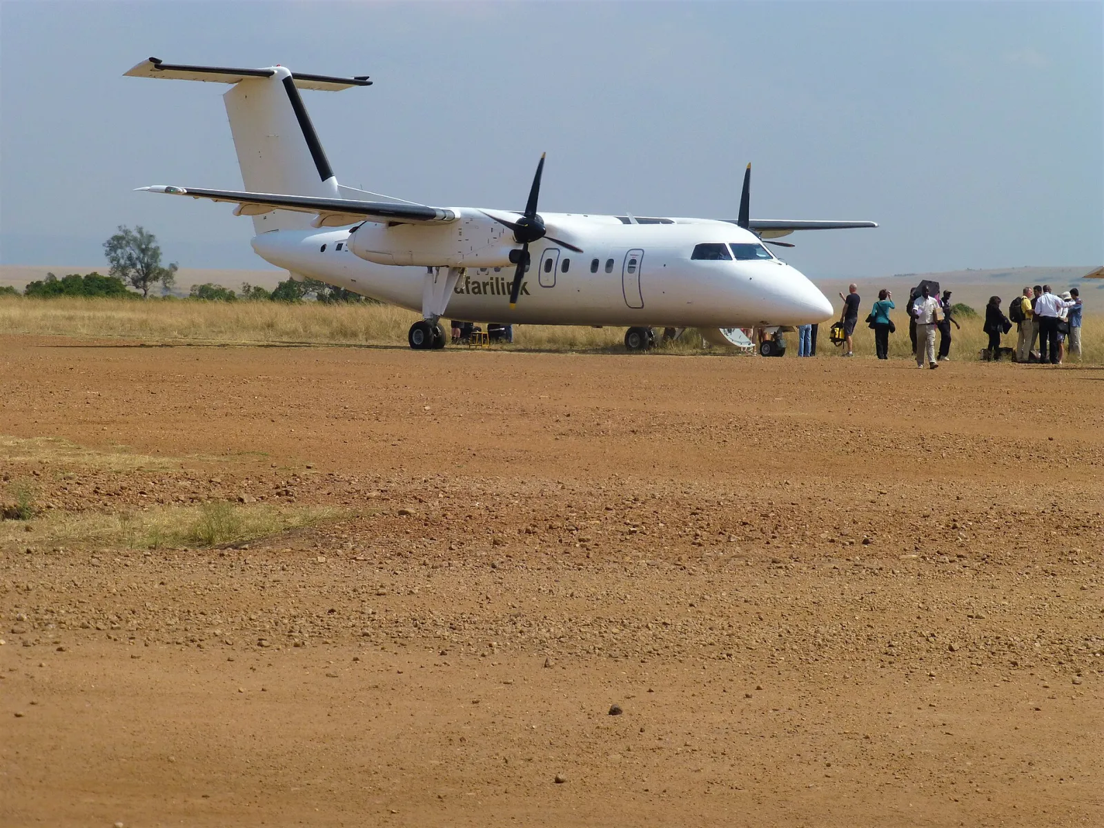 طائرة Safarilink Aviation